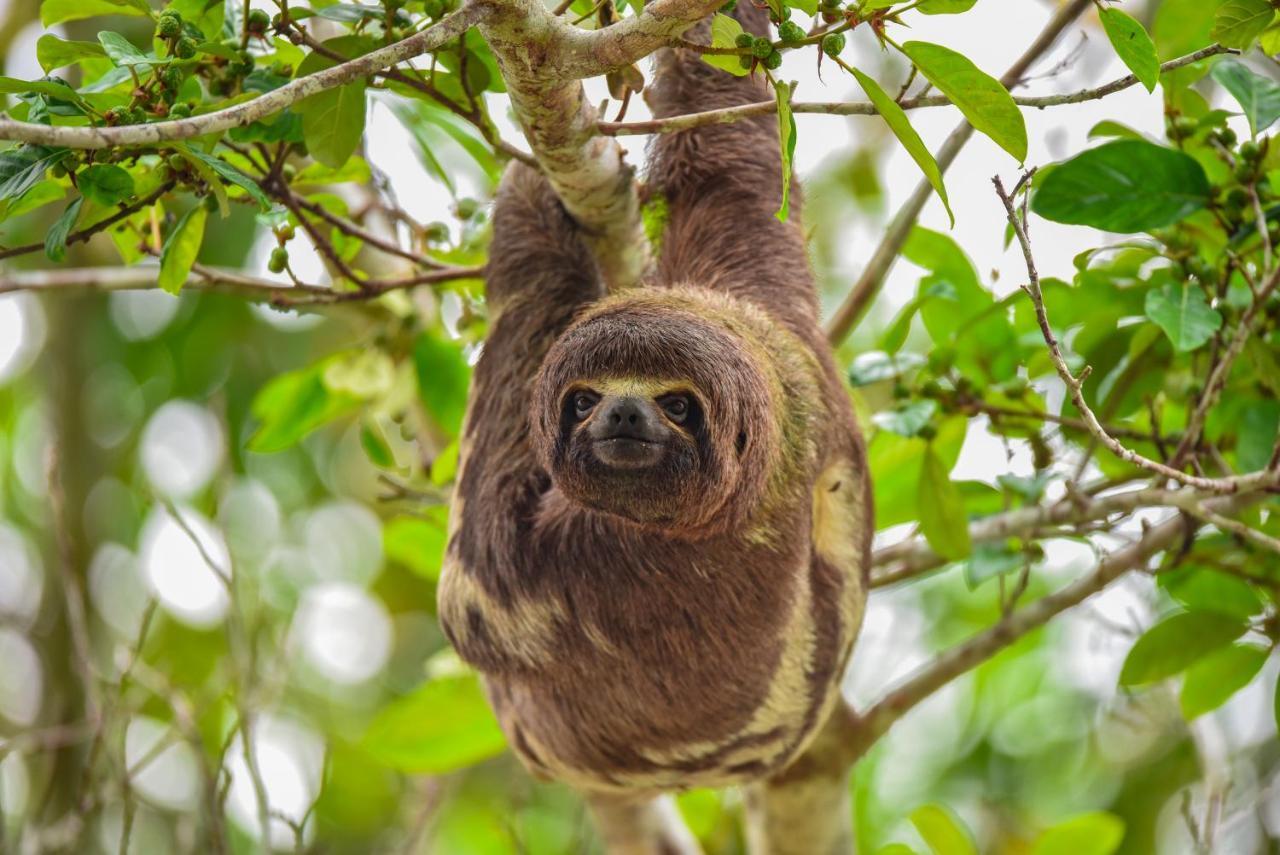 Amazon Muyuna Lodge Paraiso ภายนอก รูปภาพ