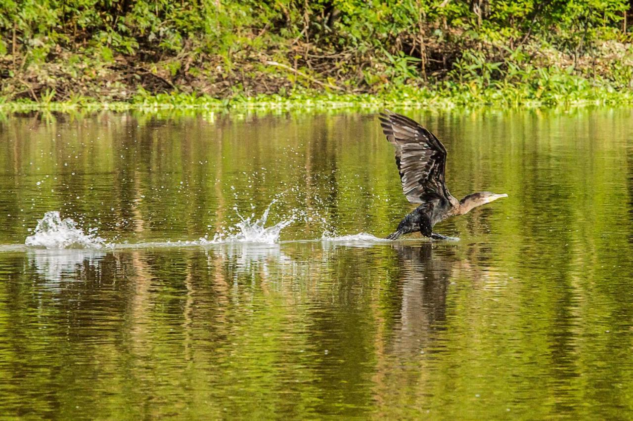 Amazon Muyuna Lodge Paraiso ภายนอก รูปภาพ