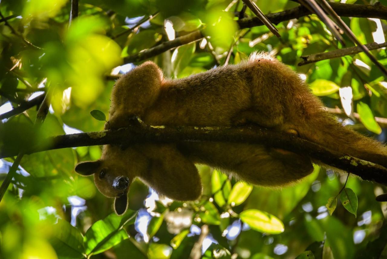 Amazon Muyuna Lodge Paraiso ภายนอก รูปภาพ