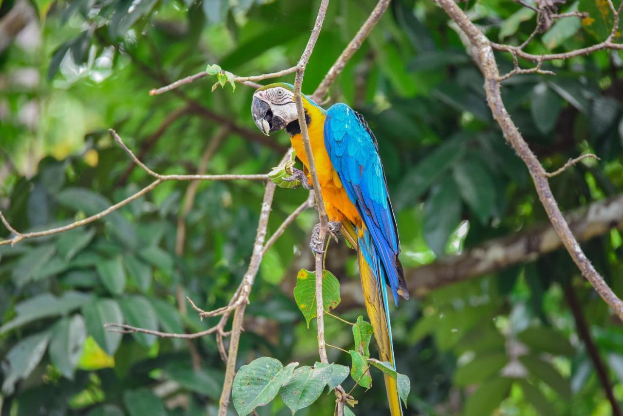 Amazon Muyuna Lodge Paraiso ภายนอก รูปภาพ