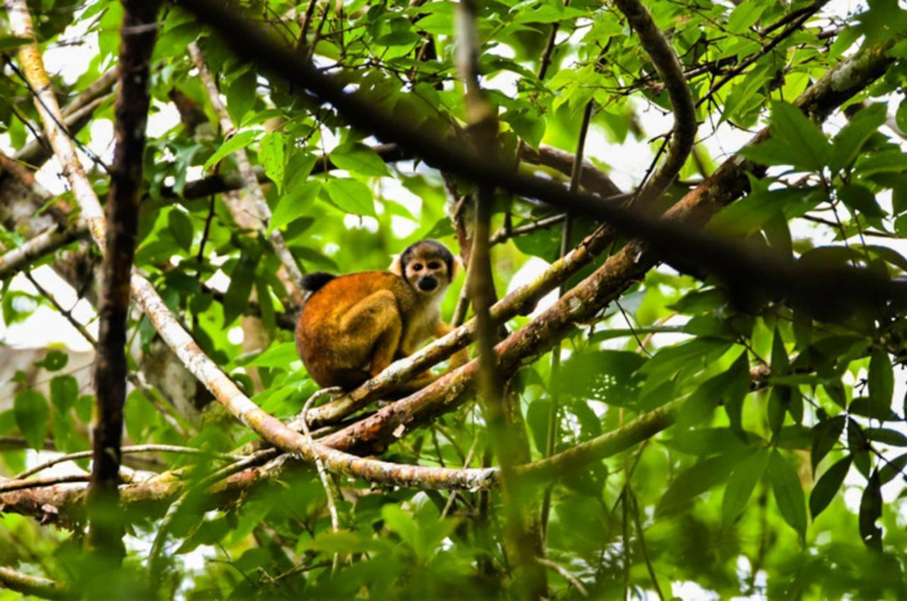 Amazon Muyuna Lodge Paraiso ภายนอก รูปภาพ