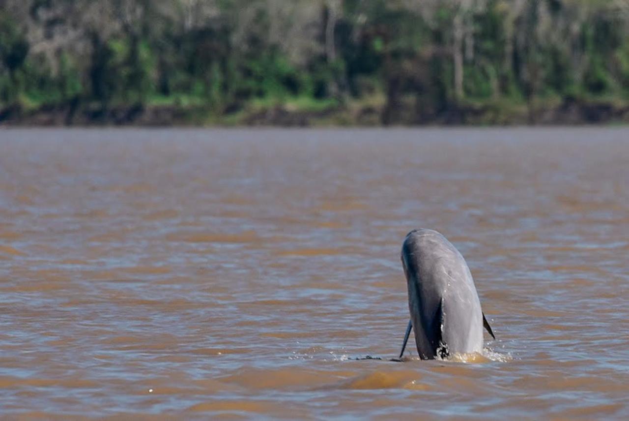 Amazon Muyuna Lodge Paraiso ภายนอก รูปภาพ