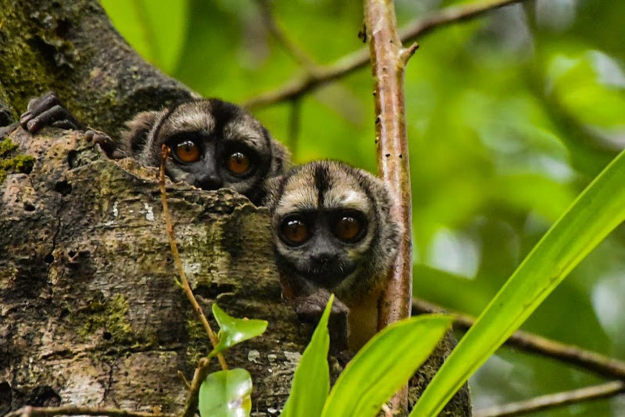 Amazon Muyuna Lodge Paraiso ภายนอก รูปภาพ