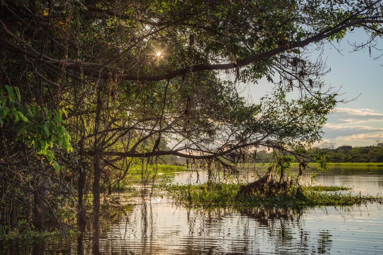 Amazon Muyuna Lodge Paraiso ภายนอก รูปภาพ