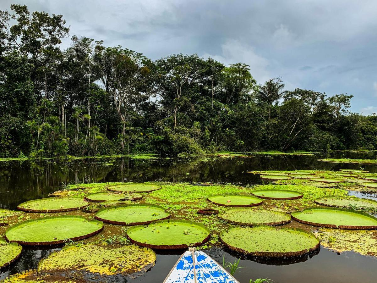 Amazon Muyuna Lodge Paraiso ภายนอก รูปภาพ